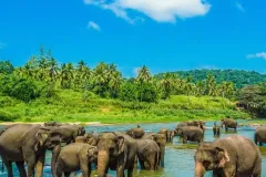 usedsri-lanka4